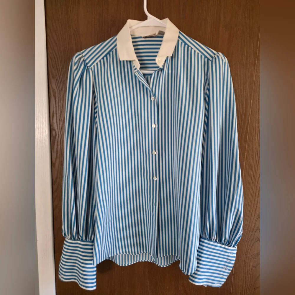 Liz Claiborne Striped Button Down Shirt in Blue and White - Picture 1 of 2